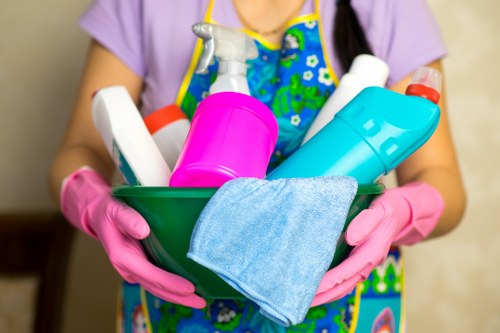 Carpet cleaning service for a Wimbledon family home