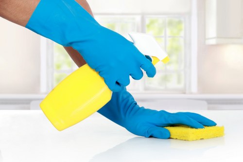 Rug cleaning service for Wimbledon homes and apartments