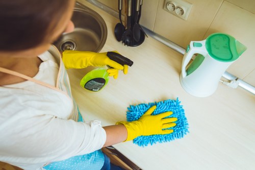 Domestic cleaner helping maintain a Wimbledon home