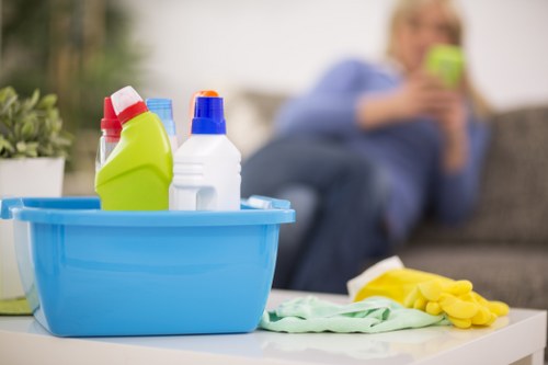 Deep cleaning support for a flat in Wimbledon