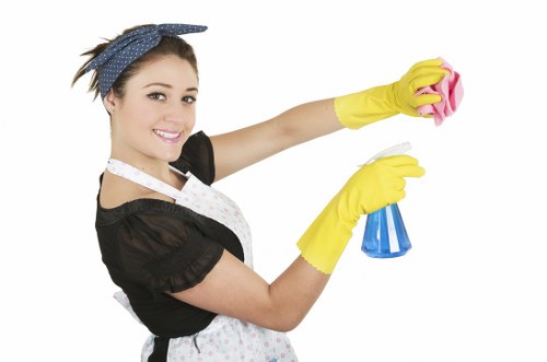 Dust and stain removal from a rug in Wimbledon
